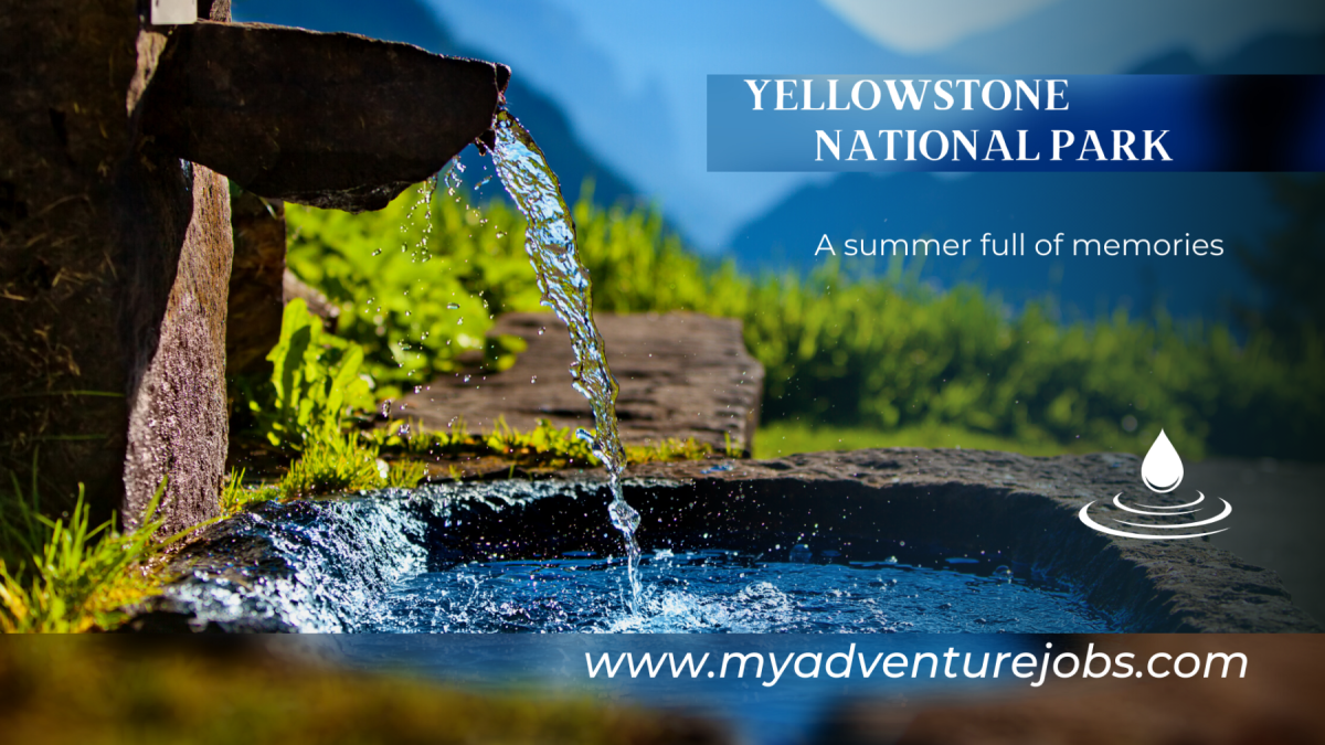 Are you ready for a summer full of adventures and new memories in Yellowstone National Park?