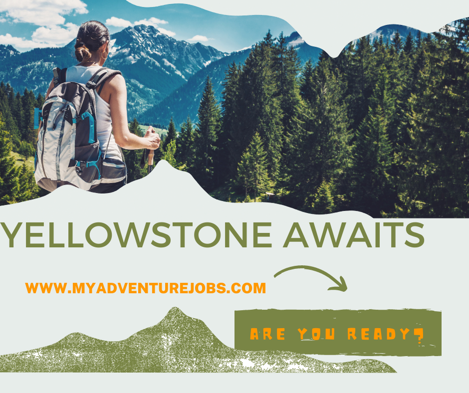 Are you ready for a Yellowstone National Park Adventure Job?