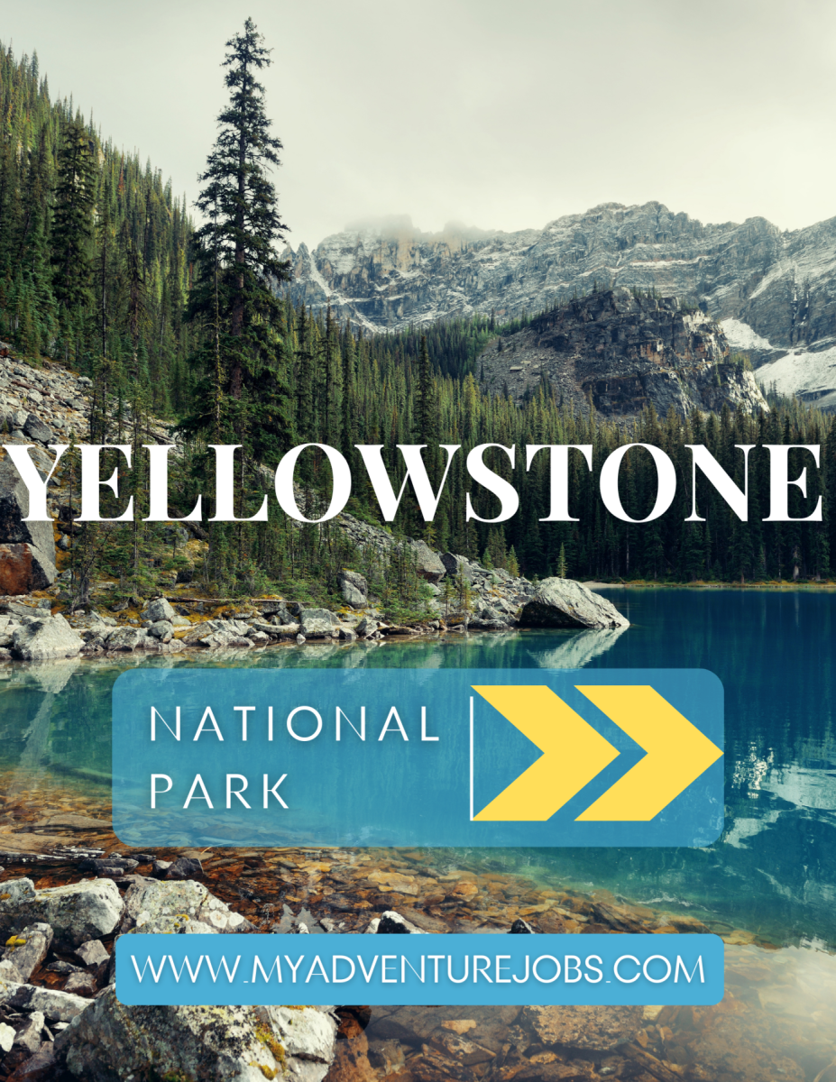 My Adventure Jobs Yellowstone Promo Flyer
