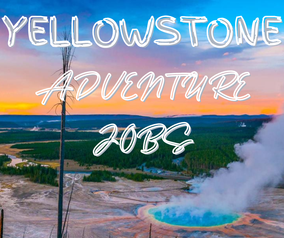 How to find Yellowstone National Park Adventure Jobs