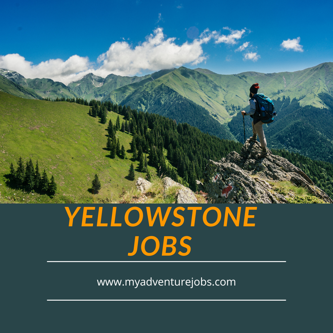 Yellowstone hiking jobs poster for myadventurejobs.com